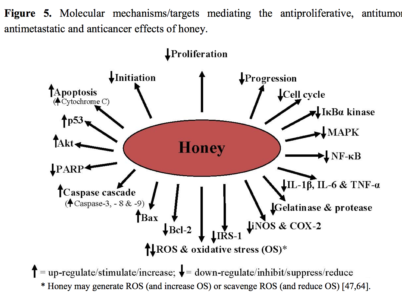 Honey Anti-Cancer Properties