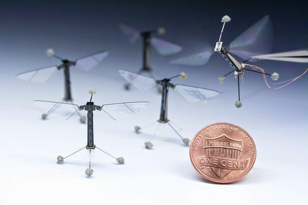 fly-sized-insect-robot_66954_990x742.jpg