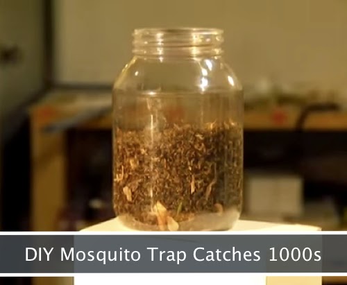 DIY-Mosquito-Trap