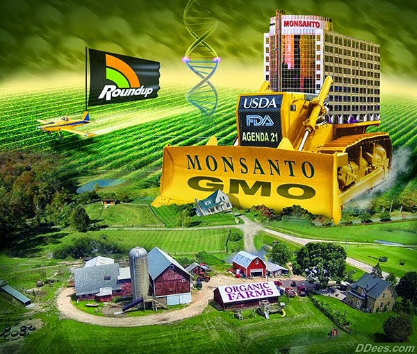 Gut-Wrenching: New Studies Reveal the Insidious Effects of Glyphosate -  Cornucopia Institute