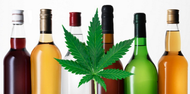 is_cannabis_safer_than_alcohol