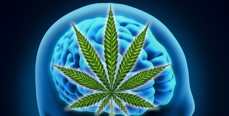 cannabis_epilepsy