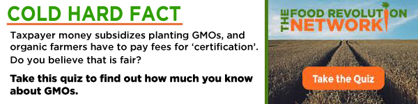 GMO-Quiz-Banner-1