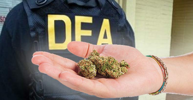 dea-chief-retreats-on-marijuana-war-1