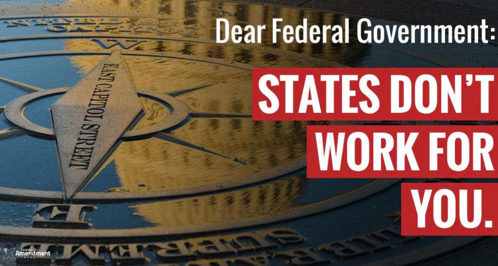 fed govt states