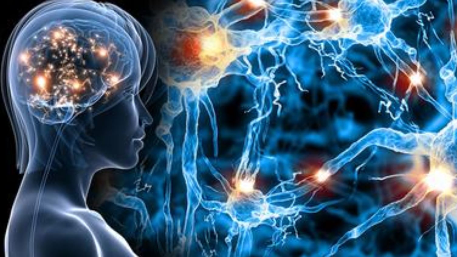 Интеллектуальное тело. Электричество в мозгу. Мозг и нейроныэ человека. Электрические импульсы в теле. Нейронные связи в мозге.