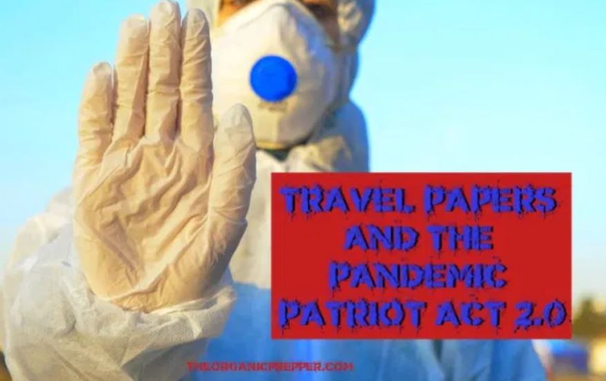 “Travel Papers” and the Pandemic Patriot Act 2.0 - Activist Post