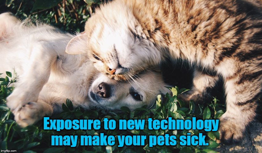 Smart Water Bowl Requires Pets Be Microchipped or RFID Tag Attached to Collar - Activist Post