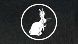 Follow The White Rabbit Design