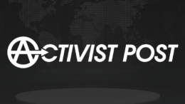 Activist Post Logo Design