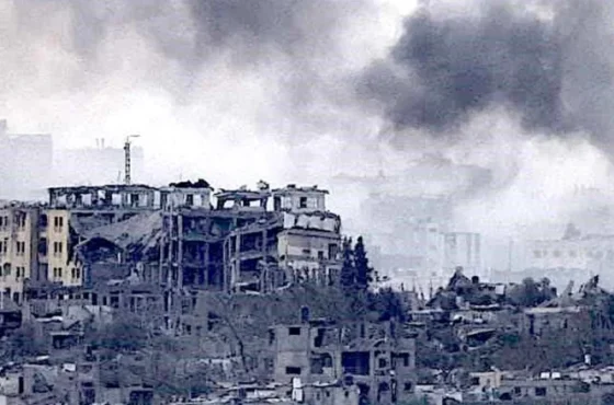 MjEyNjA1MTQ1NTE3Nzk0OTQ0 MjEyNjA1MTQ1NTE3Nzk0OTQ0