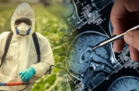 MjEyNzY2MjcyMDIxMDc5NTYx MjEyNzY2MjcyMDIxMDc5NTYx