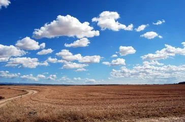 field-533541_640