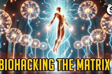 Radiant-Creators-THUMB-1024x576
