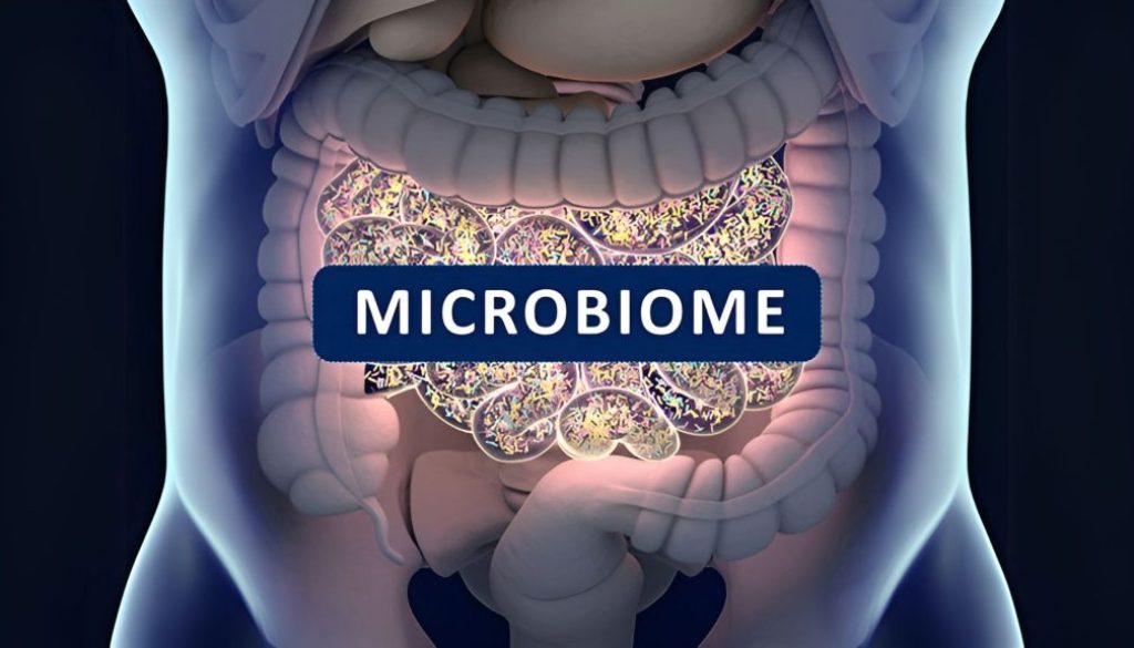 The gut-brain connection