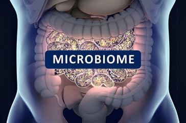 The gut-brain connection