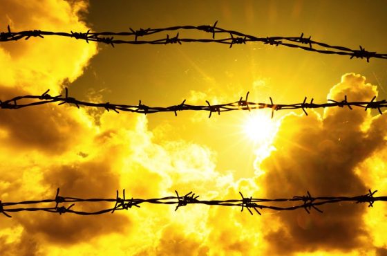Sun and silhouette of barbed wire