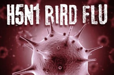 birdflu-1