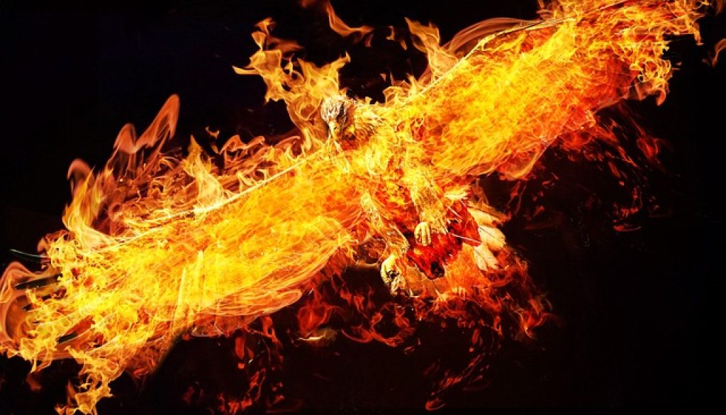phoenix-2877486_640