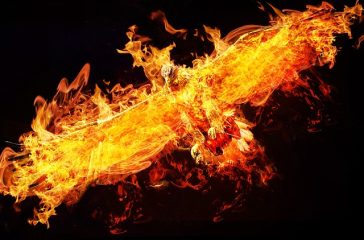 phoenix-2877486_640