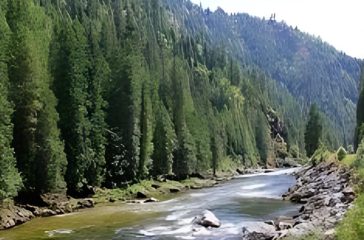 National Forests