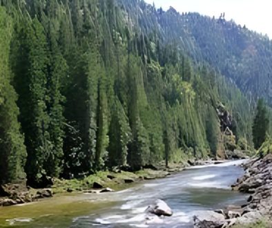 National Forests