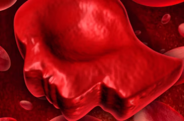 Shutterstock_137145629-1536x900 Shutterstock_137145629-1536x900