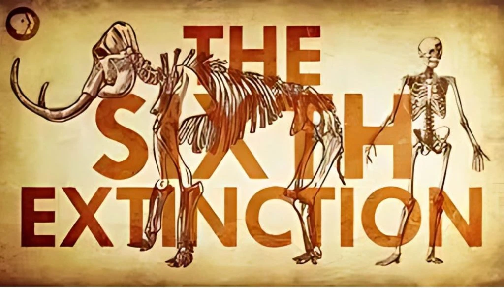 Sixth Mass Extinction