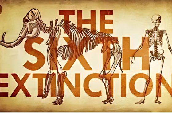 Sixth Mass Extinction