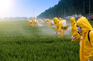adobe-stock-farming-pesticides-scaled