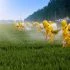 adobe-stock-farming-pesticides-scaled