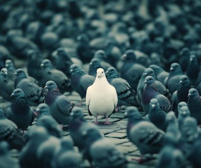 A unique white pigeon stands out amidst a flock of dark pigeons, symbolizing individuality and distinctiveness.