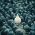 A unique white pigeon stands out amidst a flock of dark pigeons, symbolizing individuality and distinctiveness.