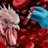 birdflu1