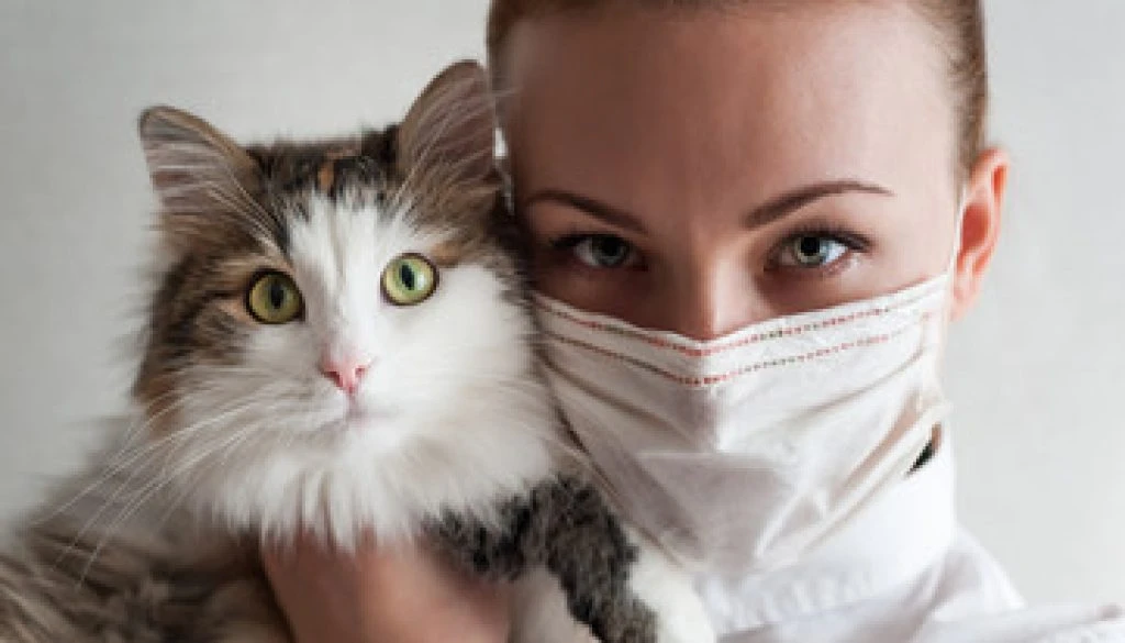 catfacemaskbirdflu