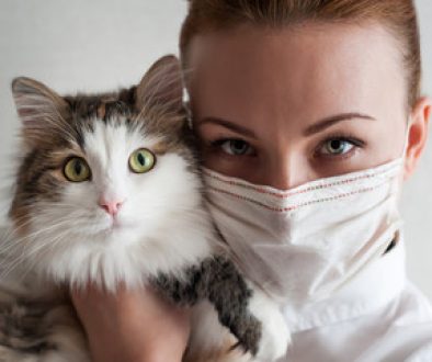 catfacemaskbirdflu