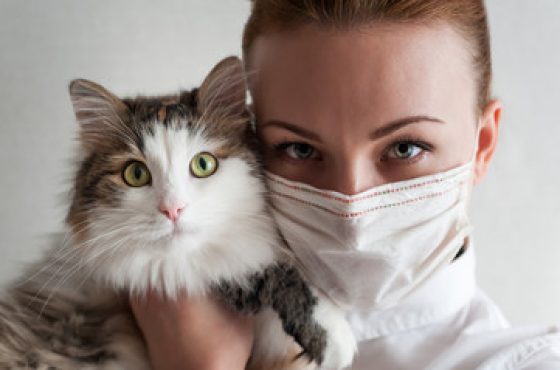 catfacemaskbirdflu catfacemaskbirdflu