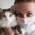 catfacemaskbirdflu