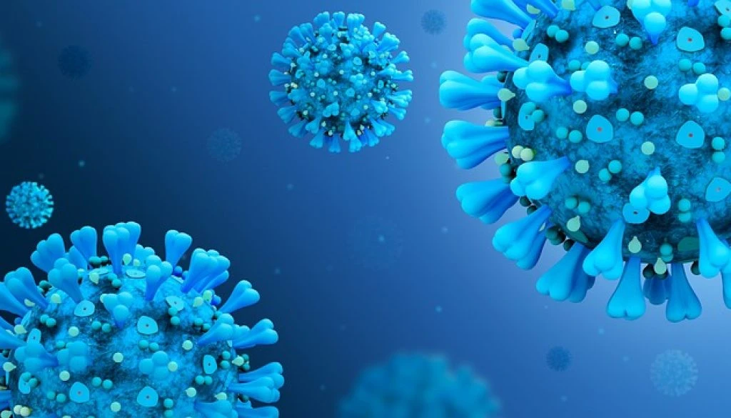 coronavirus-disease-covid-2019-5060427_640