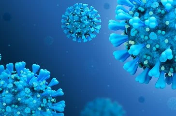coronavirus-disease-covid-2019-5060427_640 coronavirus-disease-covid-2019-5060427_640