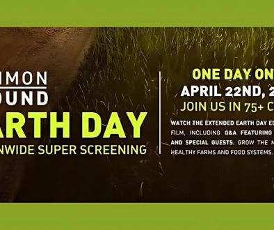 superscreening