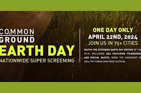 superscreening