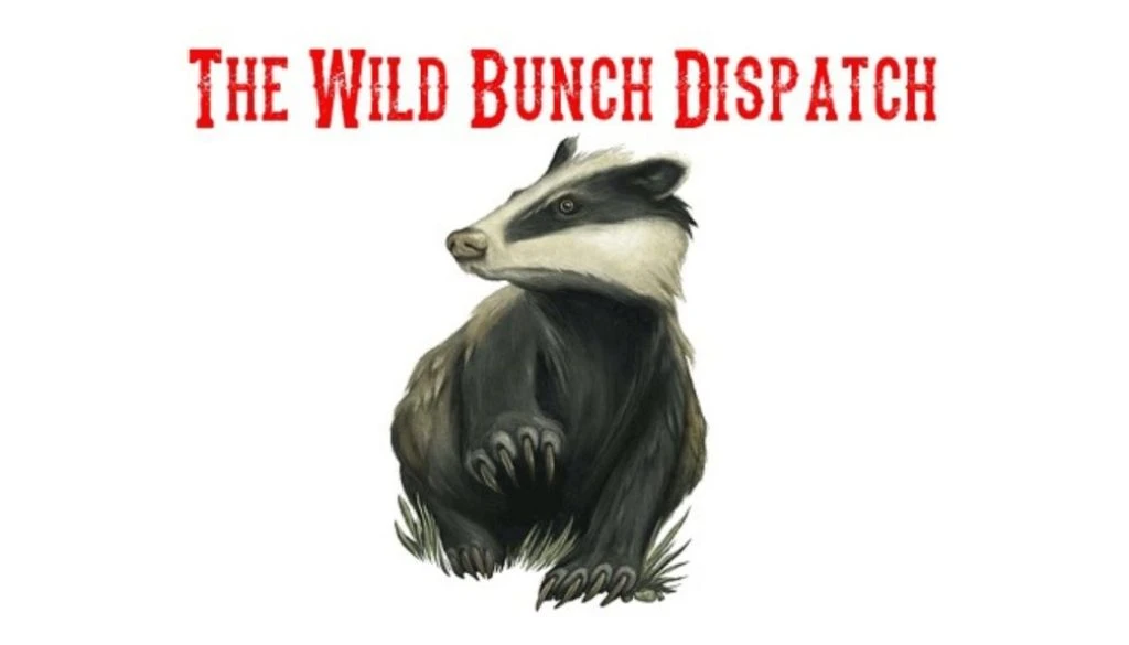 Activist Website - Images (1)
