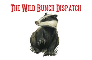 Activist Website - Images (1)