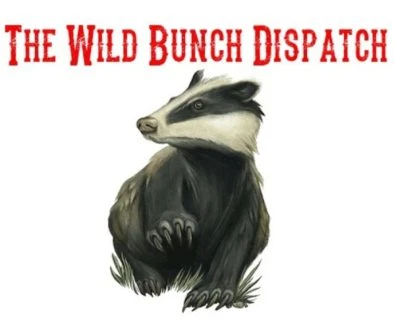 Activist Website - Images (1)
