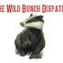 Activist Website - Images (1)