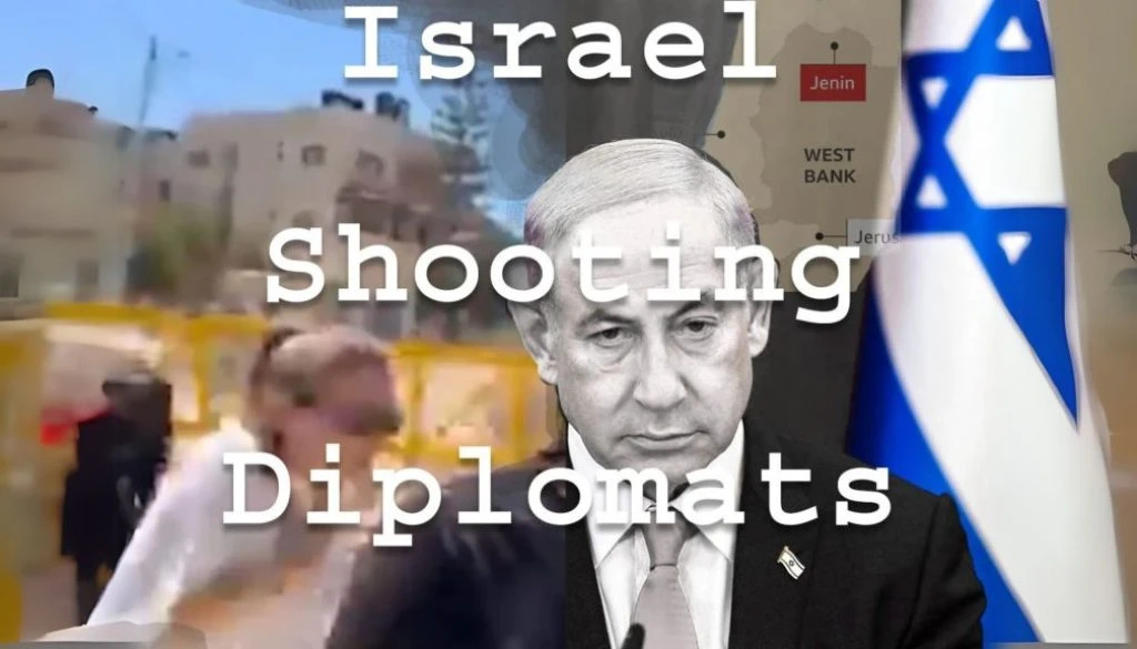 Activist Website - Images (1)