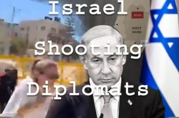 Activist Website - Images (1)