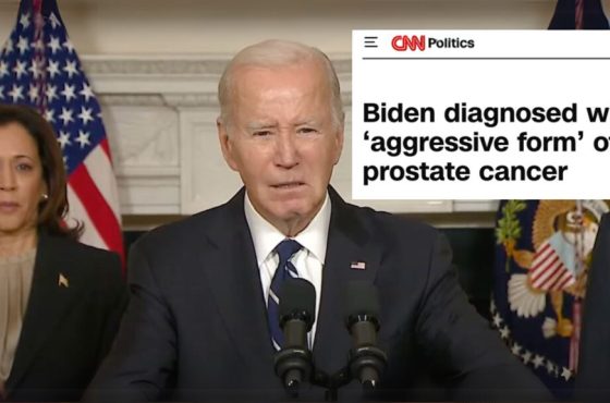 Activist Website - Images (1)