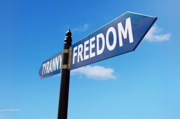 Activist Website - Images (1)